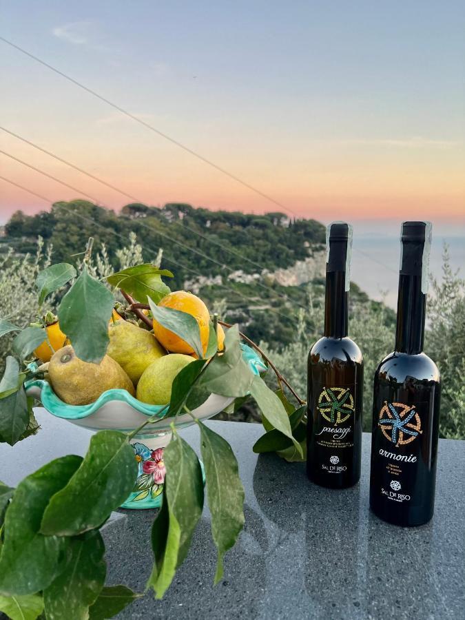 Infinity Experience Casa Vacanza Incantevole Con Terrazzo スカラ エクステリア 写真